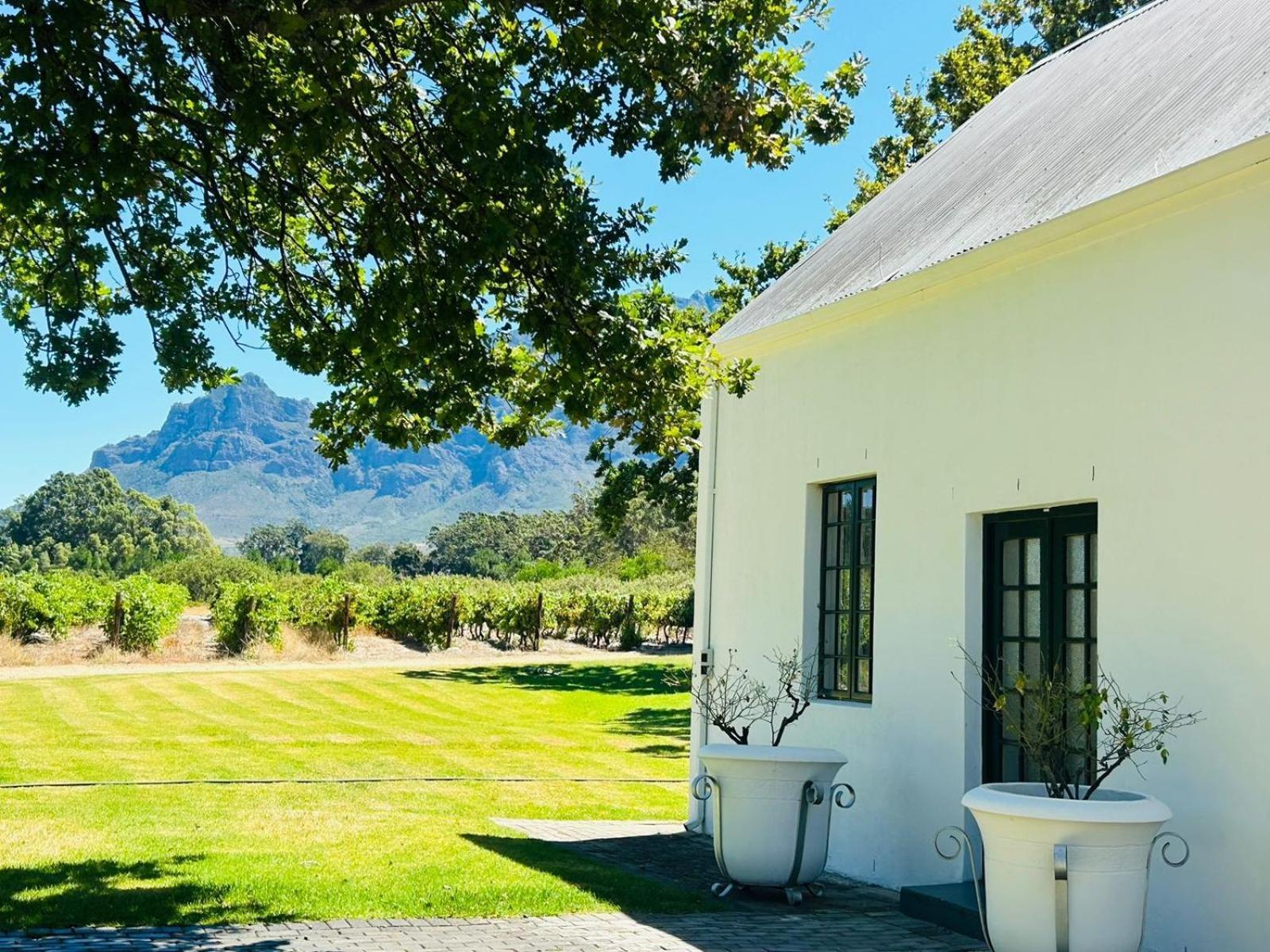 Allee Bleue Wine Estate Simondium Exterior photo
